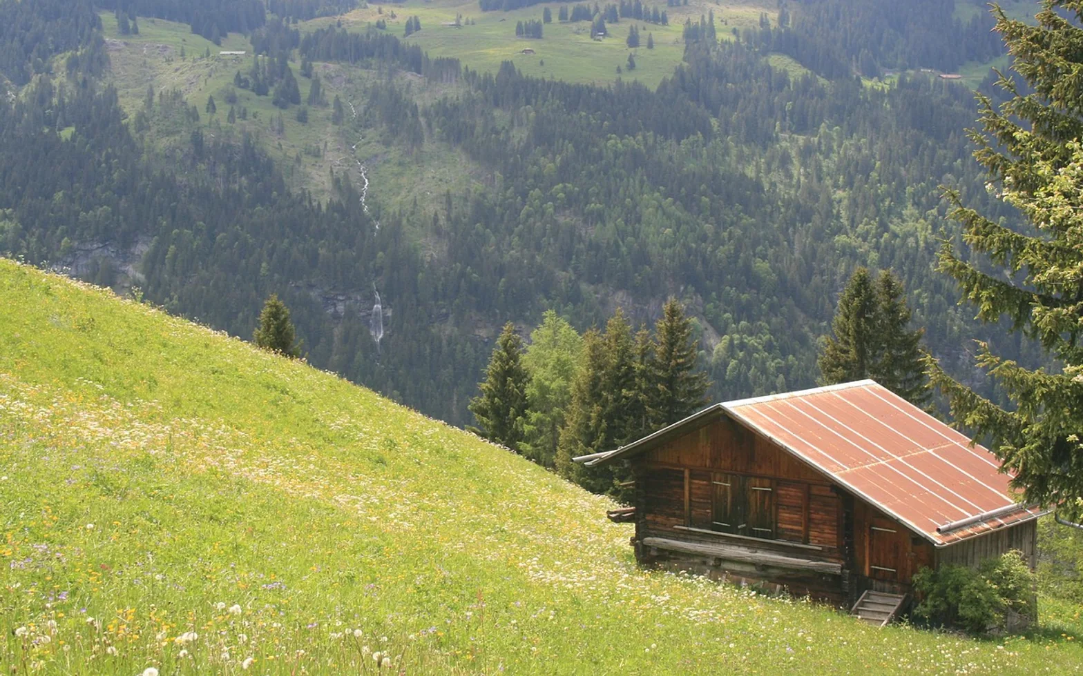 Chalet, cabin and cottage