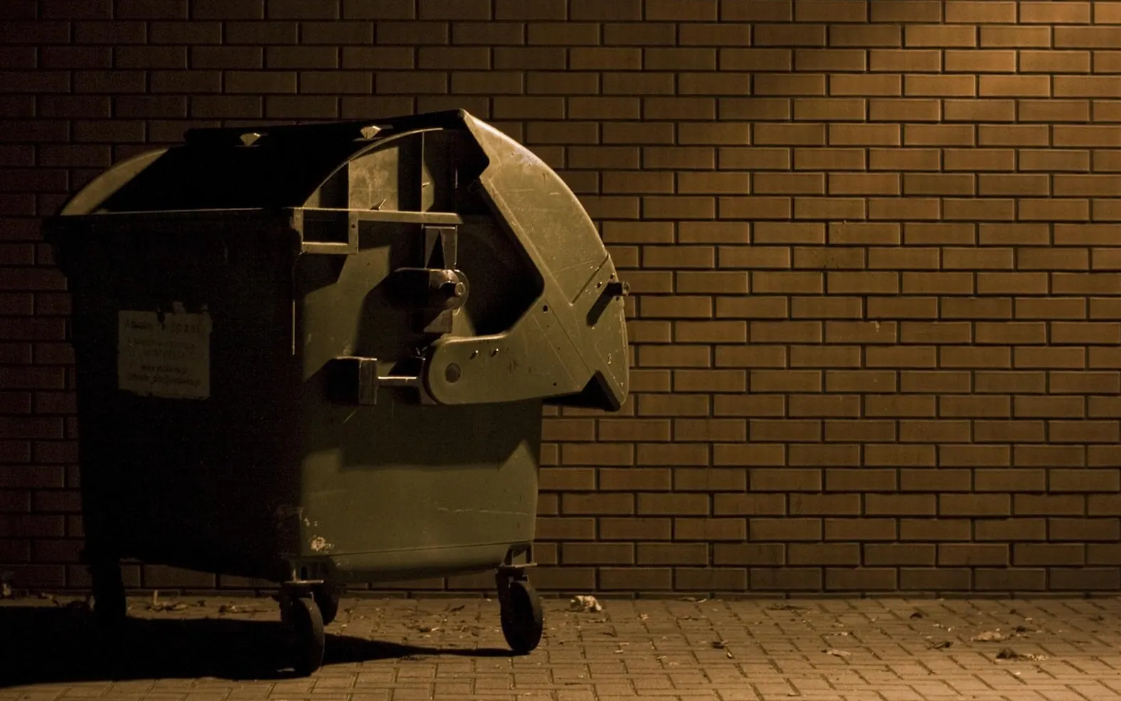Garbage, container and trash